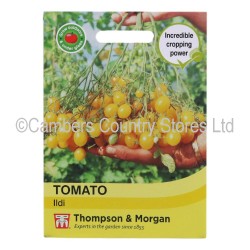 Thompson & Morgan Tomato Ildi